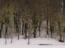 This one turned to be another snowy border crossing. Luckily, we were in a bus this time!